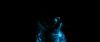 gof_int_teaser_036.jpg