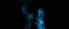 gof_int_teaser_039.jpg