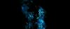 gof_int_teaser_040.jpg
