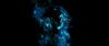 gof_int_teaser_041.jpg