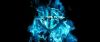 gof_int_teaser_052.jpg