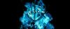 gof_int_teaser_053.jpg