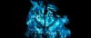 gof_int_teaser_058.jpg
