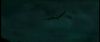gof_int_teaser_072.jpg
