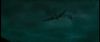 gof_int_teaser_073.jpg