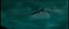 gof_int_teaser_074.jpg