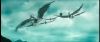 gof_int_teaser_080.jpg