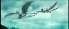 gof_int_teaser_081.jpg