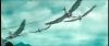 gof_int_teaser_084.jpg