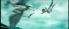 gof_int_teaser_089.jpg