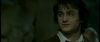 gof_int_teaser_137.jpg