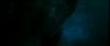 gof_int_teaser_342.jpg