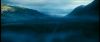 gof_int_teaser_384.jpg