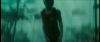 gof_int_teaser_538.jpg