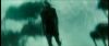 gof_int_teaser_541.jpg