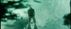 gof_int_teaser_543.jpg