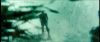 gof_int_teaser_544.jpg
