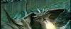 gof_int_teaser_589.jpg