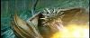 gof_int_teaser_591.jpg