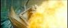 gof_int_teaser_592.jpg