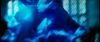 gof_int_teaser_603.jpg