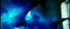 gof_int_teaser_606.jpg