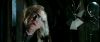 gof_int_teaser_634.jpg