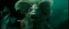 gof_int_teaser_670.jpg