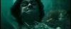 gof_int_teaser_676.jpg
