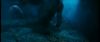 gof_int_teaser_679.jpg