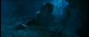 gof_int_teaser_684.jpg