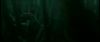 gof_int_teaser_725.jpg