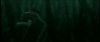 gof_int_teaser_726.jpg