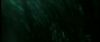 gof_int_teaser_732.jpg