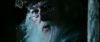 gof_int_teaser_735.jpg