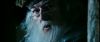 gof_int_teaser_736.jpg