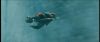 gof_int_teaser_755.jpg