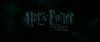 gof_int_teaser_806.jpg