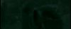 gof_int_trailer_0067.jpg