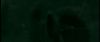 gof_int_trailer_0068.jpg