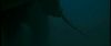 gof_int_trailer_0075.jpg