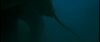 gof_int_trailer_0076.jpg
