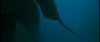 gof_int_trailer_0078.jpg