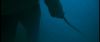 gof_int_trailer_0079.jpg