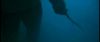 gof_int_trailer_0080.jpg