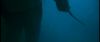 gof_int_trailer_0081.jpg