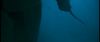 gof_int_trailer_0082.jpg
