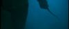 gof_int_trailer_0083.jpg