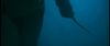 gof_int_trailer_0084.jpg