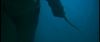 gof_int_trailer_0085.jpg